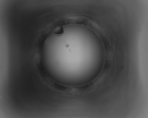 X0000101431109200807071336