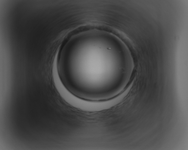 X0000101431110200807071336