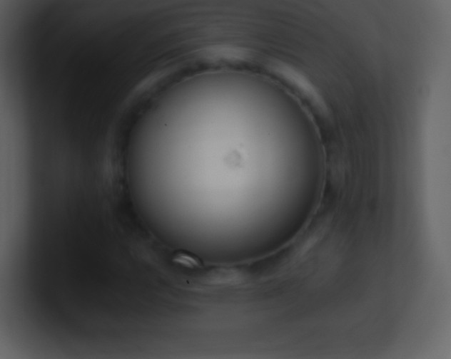 X0000101431112200807071336