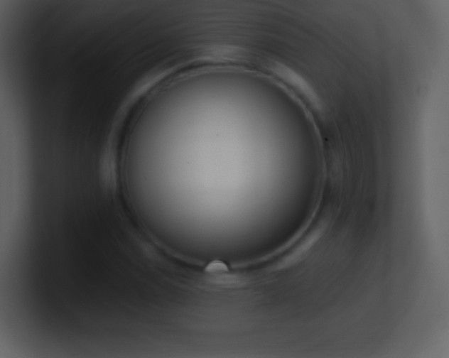 X0000101431114200807071336