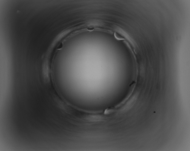 X0000101431115200807071336