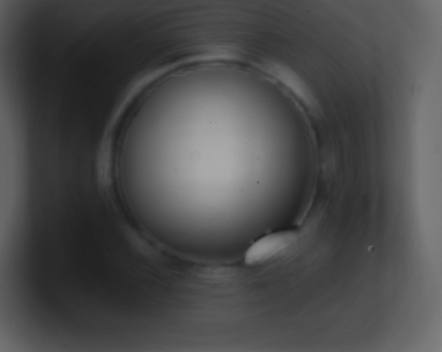 X0000101431116200807071336