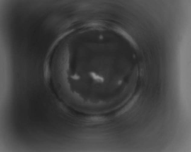 X0000101431117200807071336