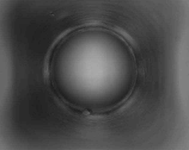 X0000101431118200807071336