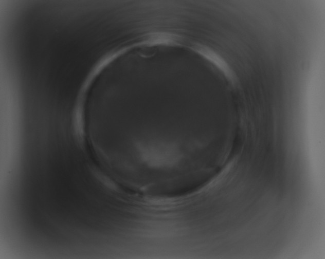 X0000101431120200807071336