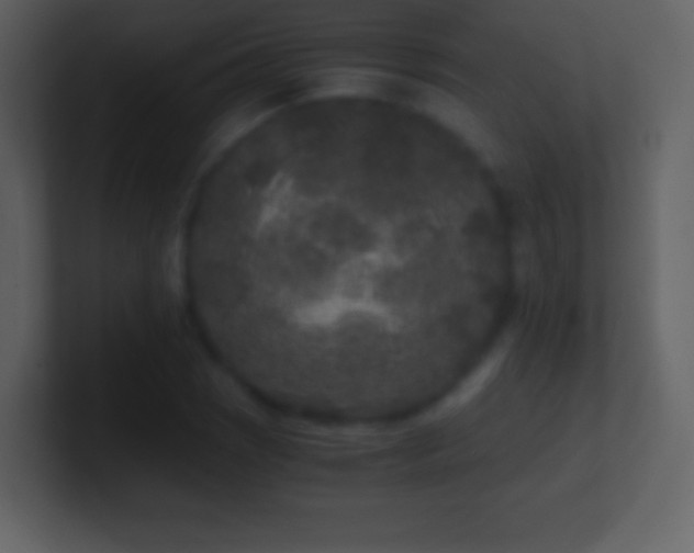 X0000101431121200807071336