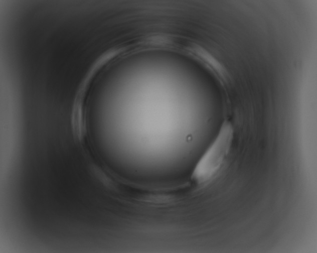 X0000101431123200807071336