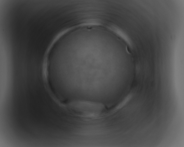 X0000101431124200807071336