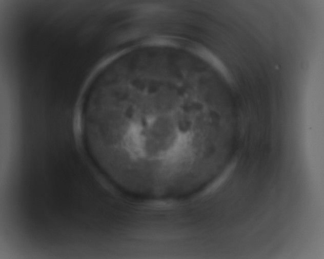 X0000101431125200807071336