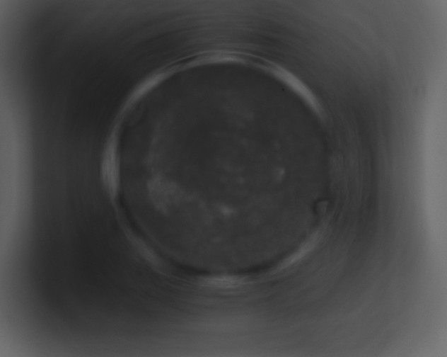 X0000101431127200807071336