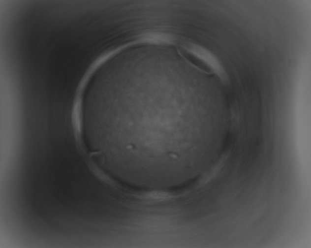 X0000101431128200807071336