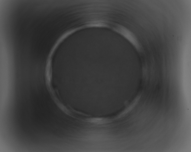 X0000101431132200807071336