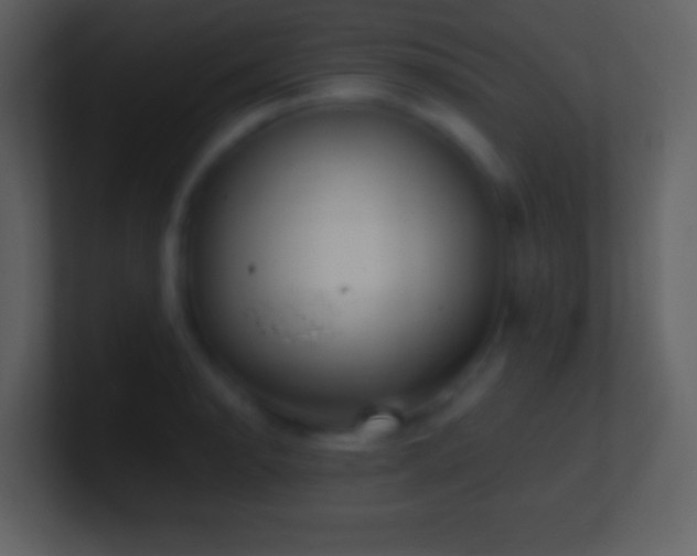 X0000101431134200807071336