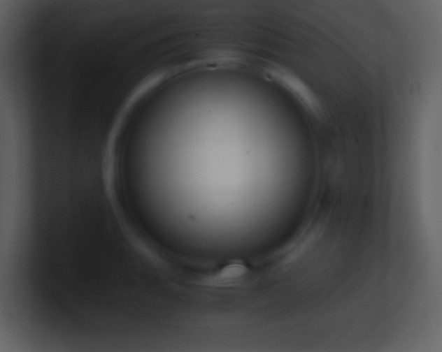 X0000101431135200807071336