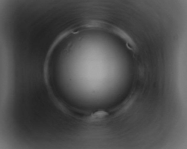 X0000101431138200807071336