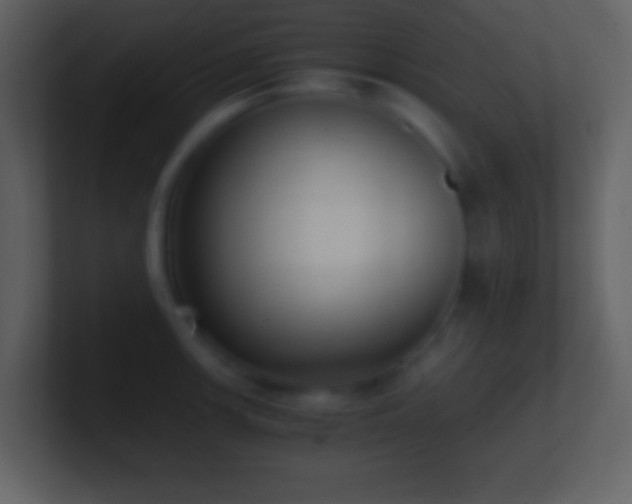 X0000101431139200807071336