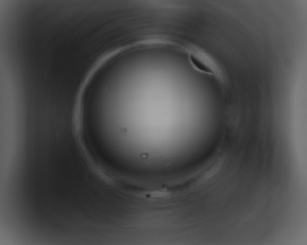 X0000101431140200807071336