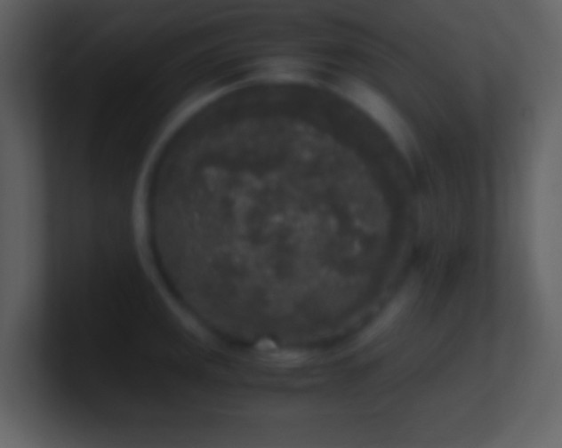 X0000101431141200807071336