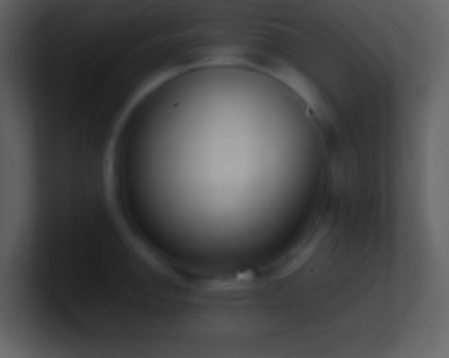 X0000101431142200807071336
