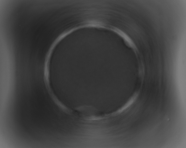 X0000101431144200807071336