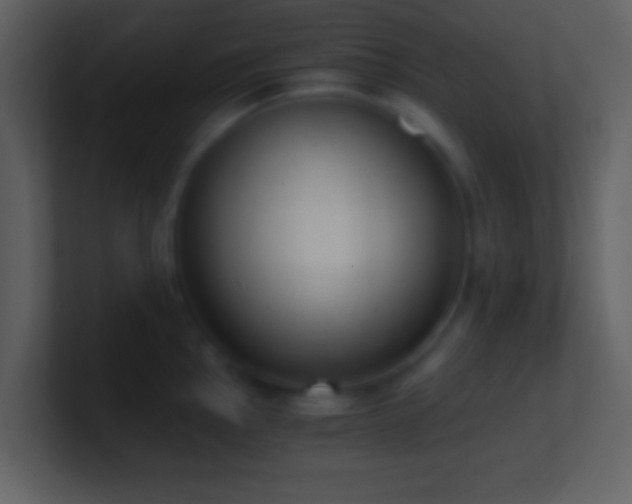 X0000101431145200807071336