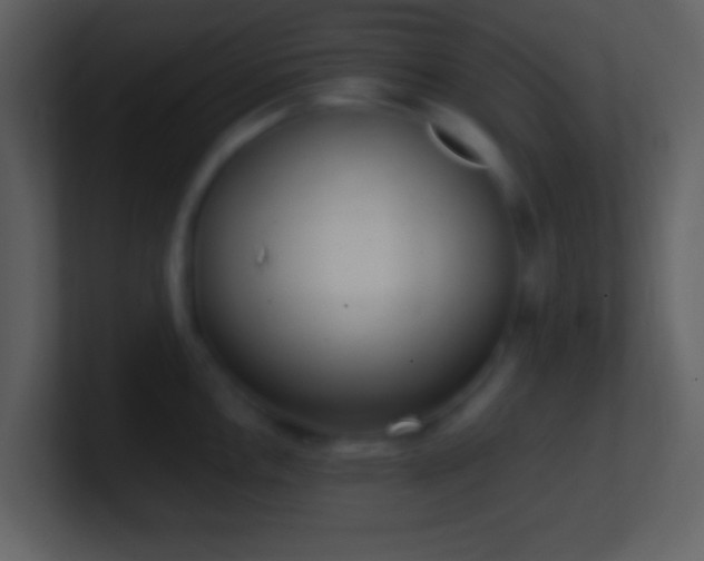 X0000101431146200807071336