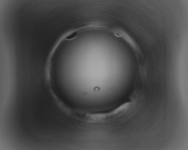 X0000101431148200807071336