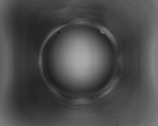 X0000101431149200807071336
