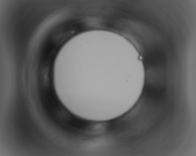 X0000101431150200807071336