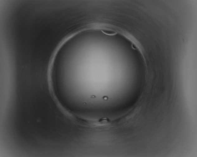 X0000101431152200807071336