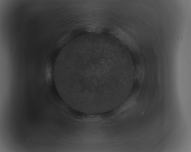 X0000101431154200807071336