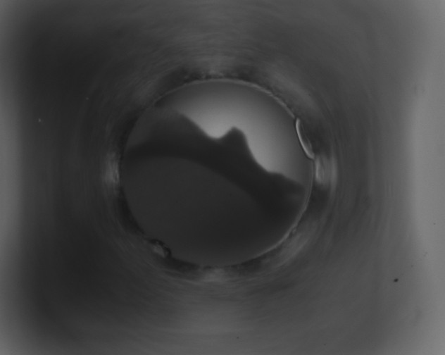 X0000101431155200807071336