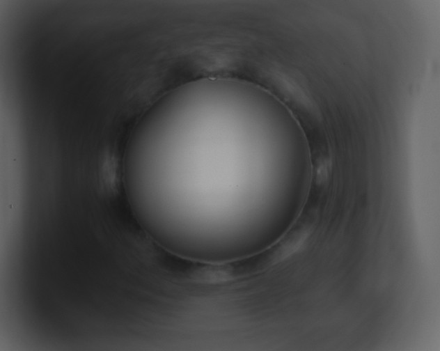 X0000101431156200807071335