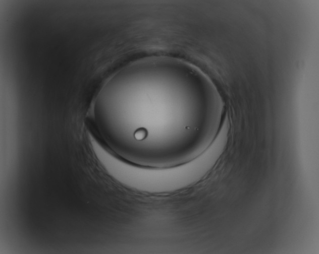 X0000101431157200807071335