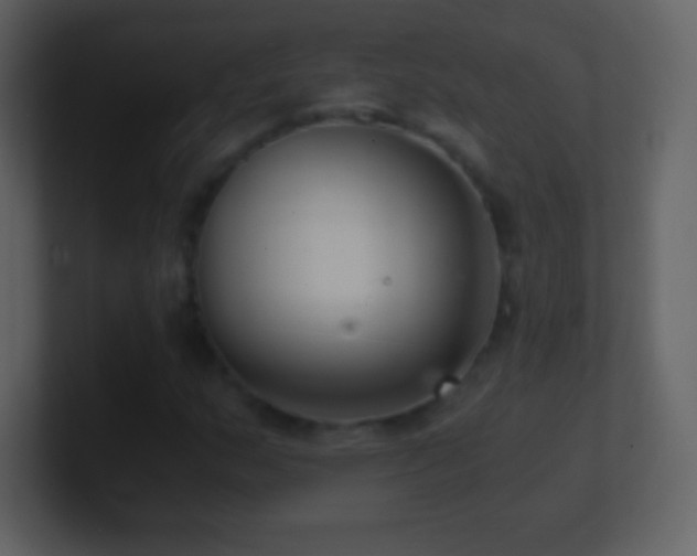X0000101431159200807071335