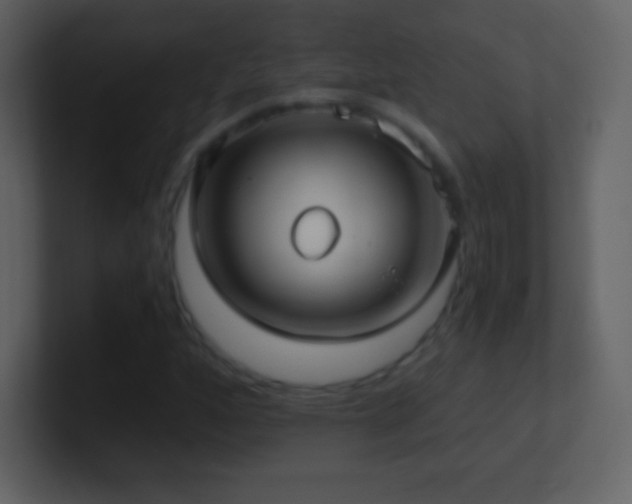 X0000101431160200807071335