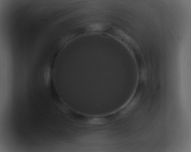 X0000101431161200807071335