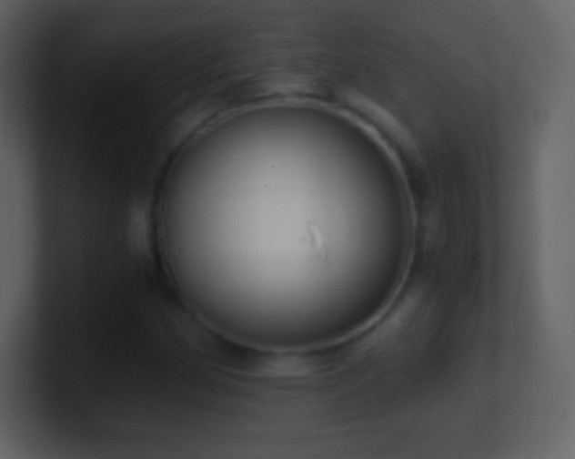 X0000101431162200807071335