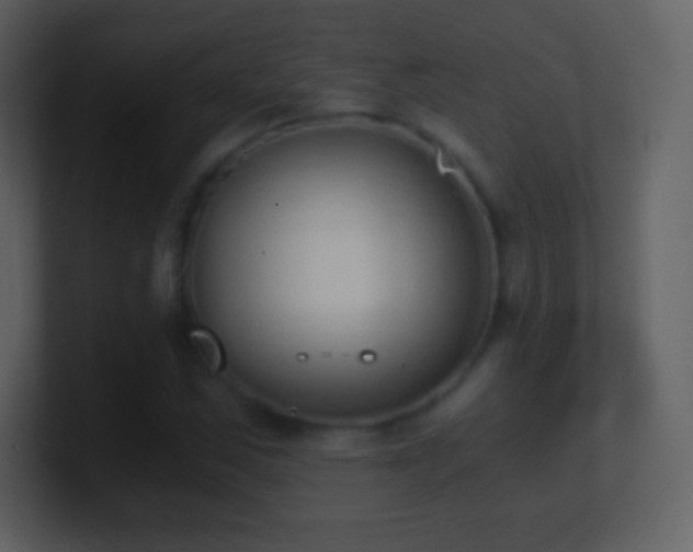X0000101431163200807071335
