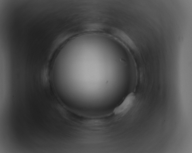 X0000101431164200807071335
