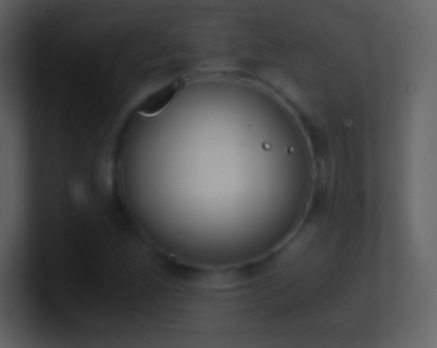 X0000101431165200807071335