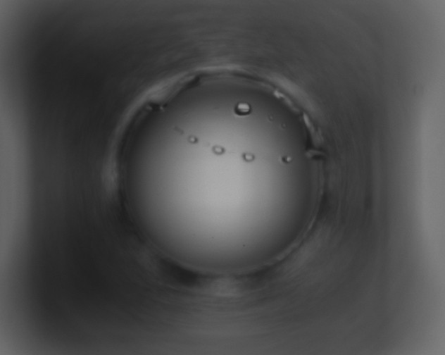 X0000101431167200807071335