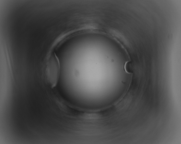 X0000101431168200807071335