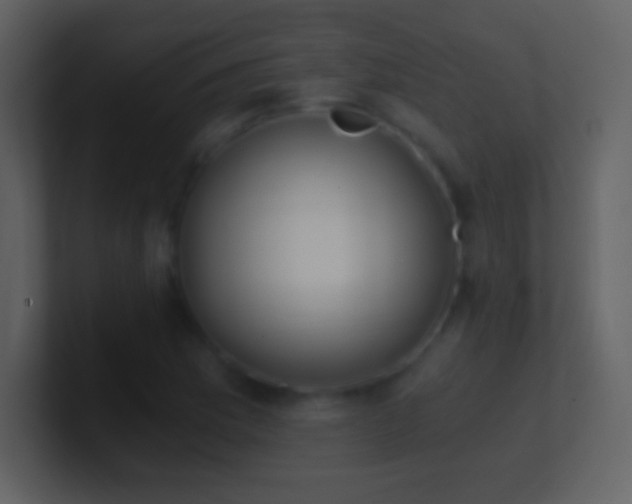 X0000101431169200807071335