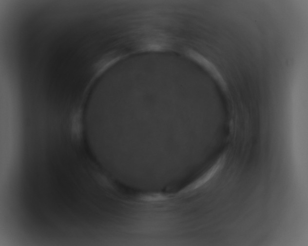 X0000101431170200807071335