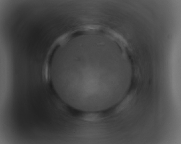 X0000101431171200807071335