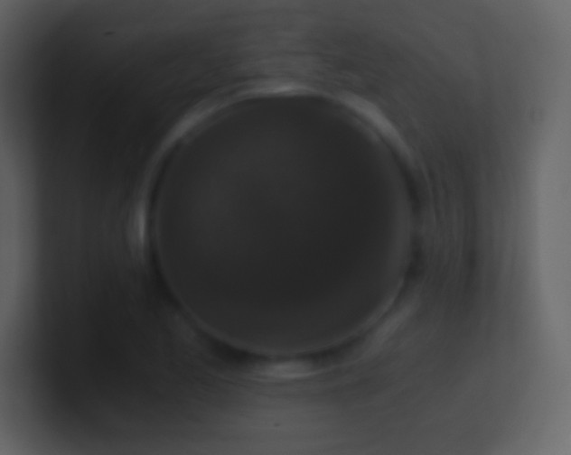X0000101431173200807071335