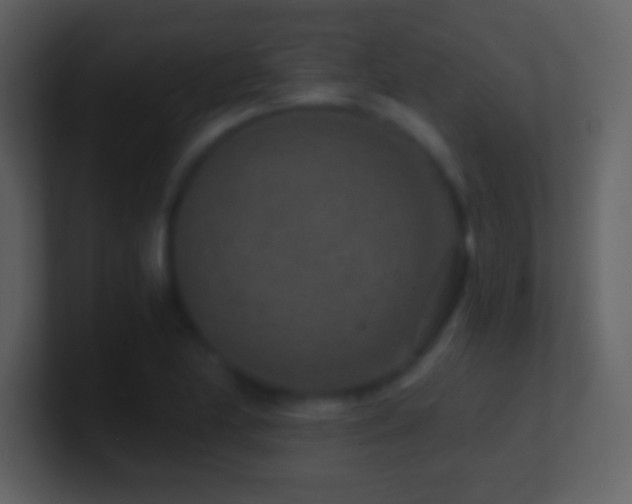 X0000101431174200807071335