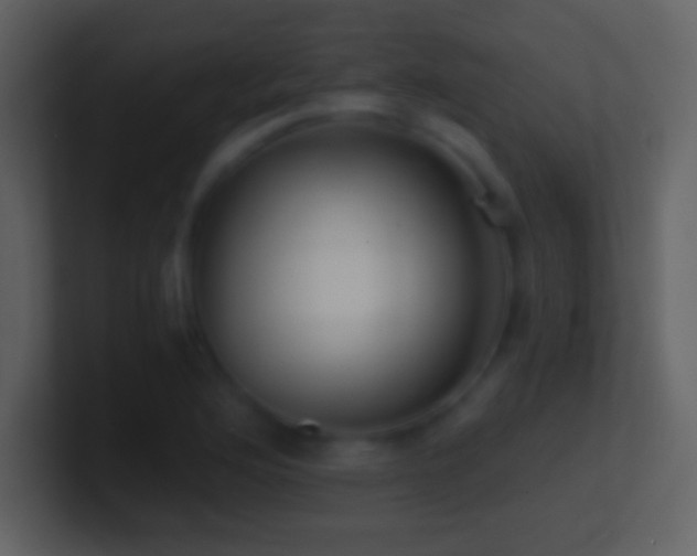 X0000101431176200807071335