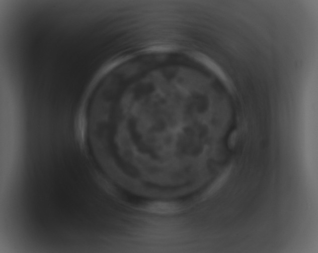 X0000101431179200807071335